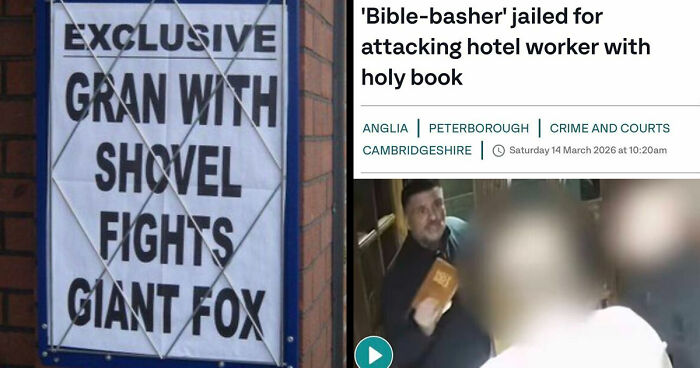 74 Hilarious Newspaper Headlines That Report Very “Important” News