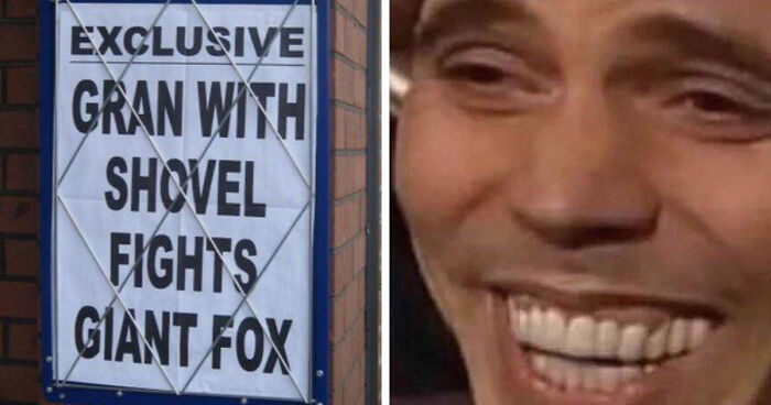 74 Hilarious Newspaper Headlines That Report Very “Important” News