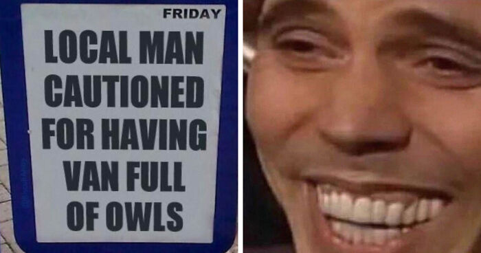 74 Hilarious Newspaper Headlines That Report Very “Important” News