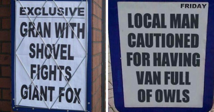74 Hilarious Newspaper Headlines That Report Very “Important” News