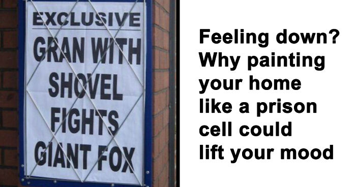 74 Hilarious Newspaper Headlines That Report Very “Important” News