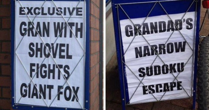 74 Hilarious Newspaper Headlines That Report Very “Important” News