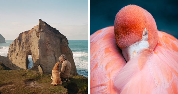 20 Stunning Animal Photos From Life Framer’s 2026 Animal Kingdom Competition