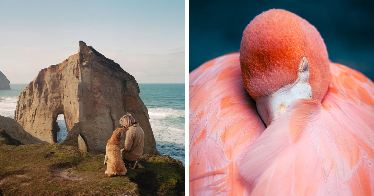 20 Stunning Animal Photos From Life Framer’s 2026 Animal Kingdom Competition