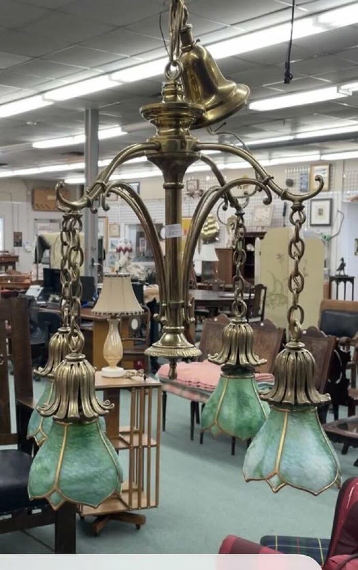 Brass vintage chandelier with green glass flower-shaped shades in store