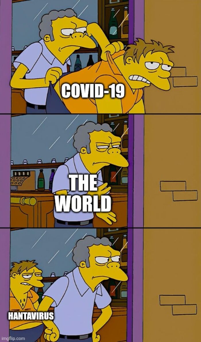 Hantavirus-Memes-Tweets-Reactions