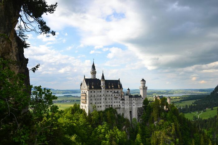 Neuschwanstein Castle surrounded by forest and fields in geographic landscape