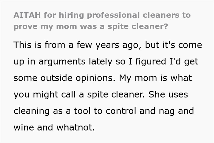 Text excerpt about hiring professional cleaners to address cleaning criticism Text excerpt about hiring professional cleaners to address cleaning criticism