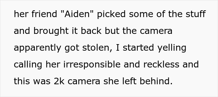 Text describing a stolen camera, highlighting an irresponsible sister-in-law and family conflict.