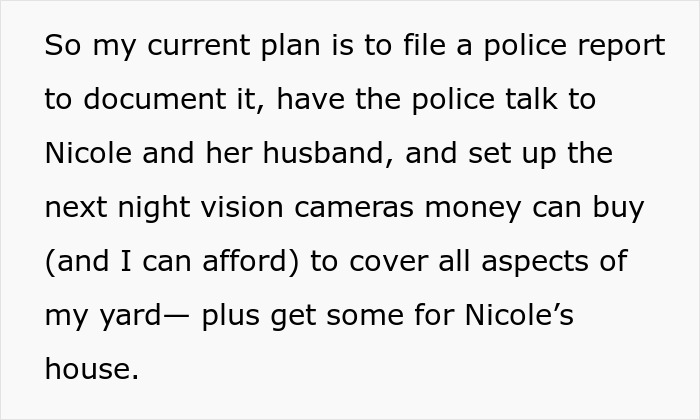Plan to file police report and install night vision cameras for car security