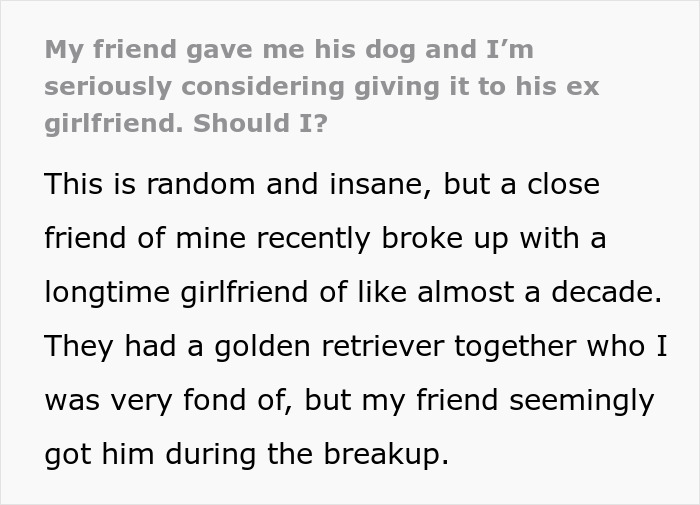 Text about giving an ex's dog after a breakup involving a golden retriever Text about giving an ex's dog after a breakup involving a golden retriever