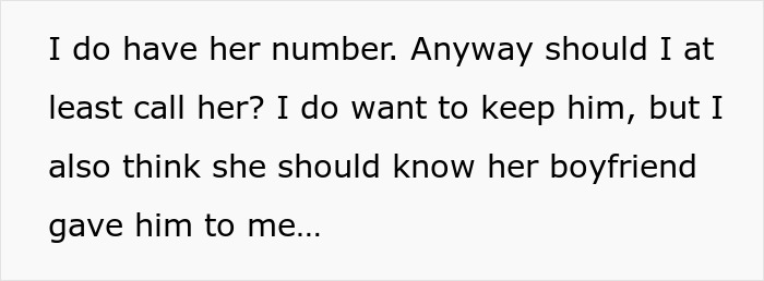 Text about contemplating calling original dog owner after receiving dog Text about contemplating calling original dog owner after receiving dog