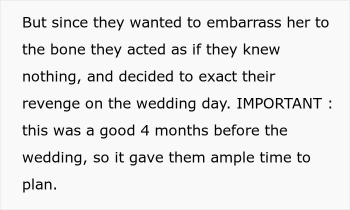 Text excerpt about planning revenge on racist MIL four months before wedding Text excerpt about planning revenge on racist MIL four months before wedding