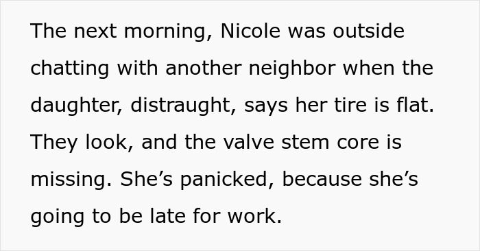 Text describing a flat tire with missing valve stem core causing panic