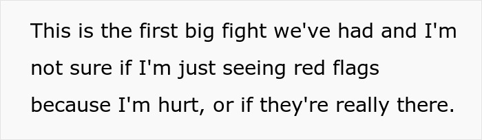 Text about first big fight and doubts about possible red flags Text about first big fight and doubts about possible red flags