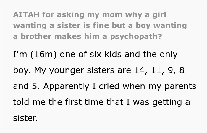 Lonely 16YO Wants A Brother As He Has 5 Sisters, Parents Who Enforced Gender Roles Shame Him For It