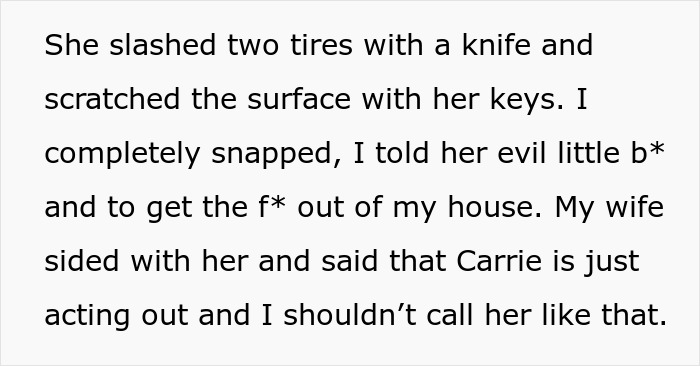 Text explaining slashed tires and scratched car surface by stepdaughter
