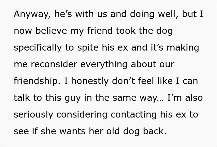 Text about reconsidering friendship after friend keeps old dog out of spite Text about reconsidering friendship after friend keeps old dog out of spite