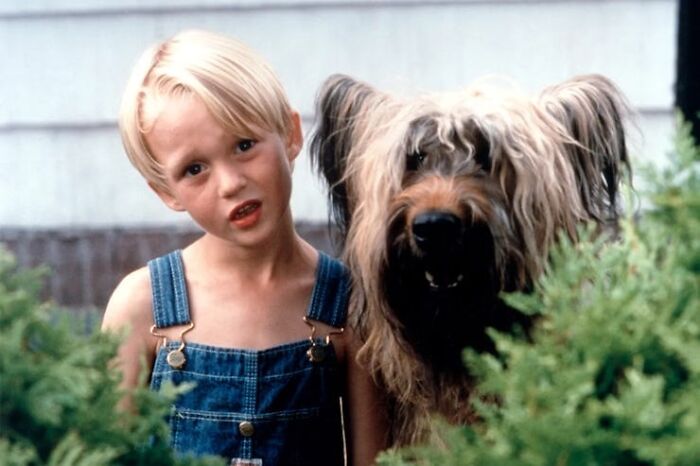 Young boy with dog showcasing favorite shocking facts about childhood
