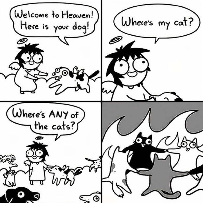 65 Best Comics By Sarah Andersen That Sum Up Every Introvert’s Life