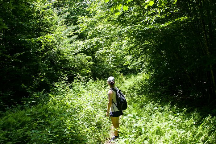 A hiker with a backpack on a narrow path through dense, vibrant green foliage, reflecting the fascinating facts of nature.