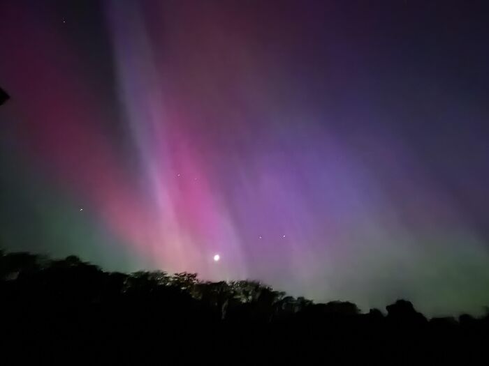 Rare aurora moment with purple and green lights glowing over dark tree silhouette