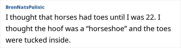 Late realization about horseshoes and horse toes