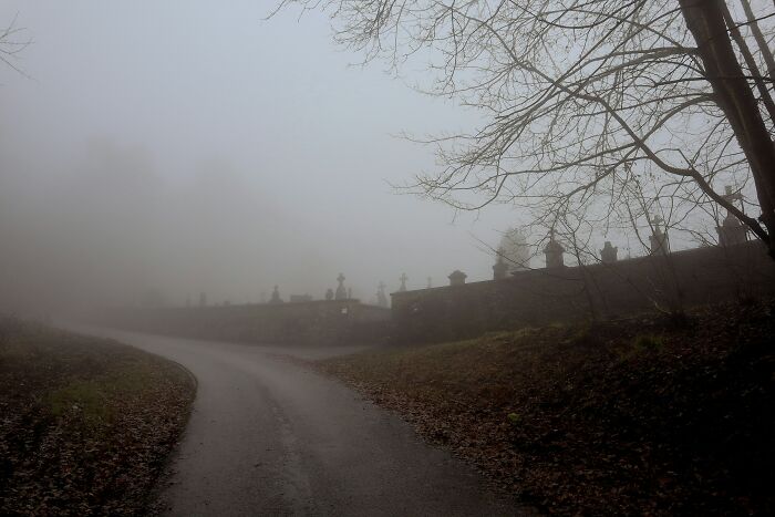 49 Unexplainable And Eerie Things People Spotted In Their Photos Long After Taking Them