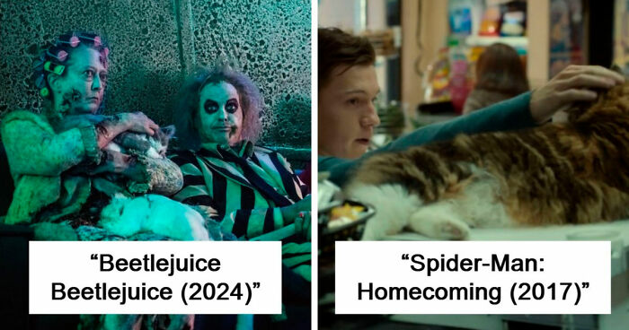 83 Unexpected Cat Cameos In Movies You Probably Missed The First Time