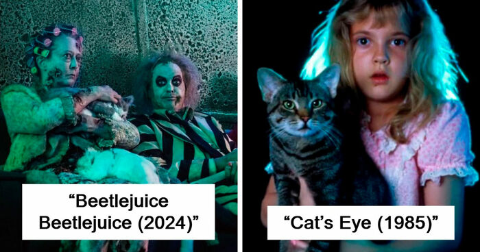 83 Unexpected Cat Cameos In Movies You Probably Missed The First Time