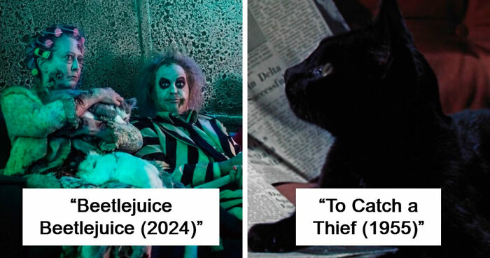 83 Unexpected Cat Cameos In Movies You Probably Missed The First Time