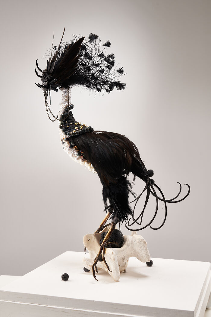 Here Are 18 Surreal Bug Fairies Made From Dead Insects Made By This Amsterdam-Based Artist