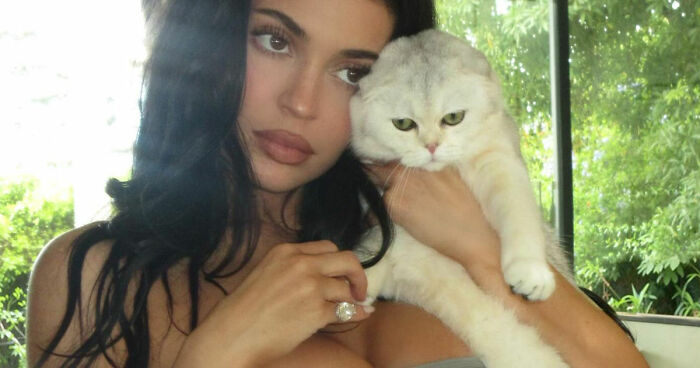 The Celebrities Who Lost The Most “Followers” In Instagram’s Bot Purge