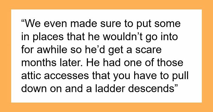 Guy Cheats Repeatedly On Fiancée, Returns Home To Find It Transformed Into A Clown Horror Maze