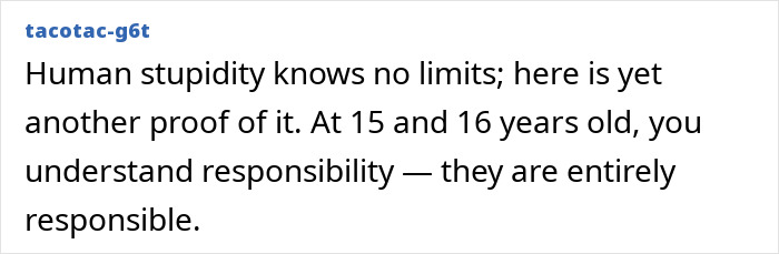 User comment discussing responsibility of teens aged 15 and 16 in crime case