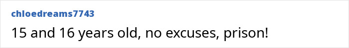 User comment demanding prison for teens aged 15 and 16 in France crime case