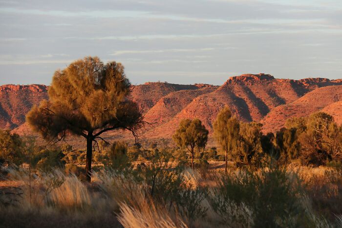 Desert landscape with trees and hills illustrating geography facts