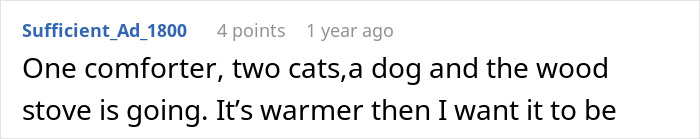 Warm room with comforter, cats, dog, and wood stove during person proving point to stepdad