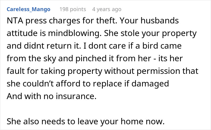 A user's comment on Reddit about an irresponsible sister-in-law. The comment suggests pressing charges for theft.