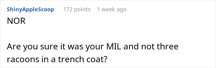 Brief comment doubting the MIL's identity and suspicious behavior Brief comment doubting the MIL's identity and suspicious behavior