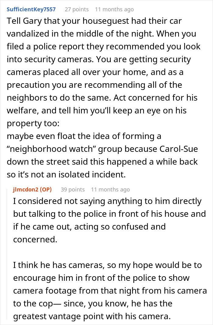 Suggestion to use security cameras and neighborhood watch against vandalism