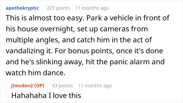Advice on catching neighbor vandalizing car with cameras and alarm