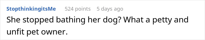A comment from Reddit user StopthinkingitsMe, criticizing a woman for stopping bathing her dog, an unfit pet owner, after roommate put her life at risk.