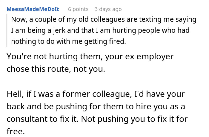 Reddit comment supporting a developer who was a budget burden, suggesting the employer hire them as a consultant.