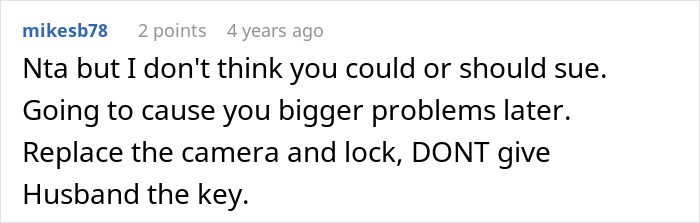 A Reddit comment on a post about an irresponsible sister-in-law, suggesting replacing a camera and lock, not suing.