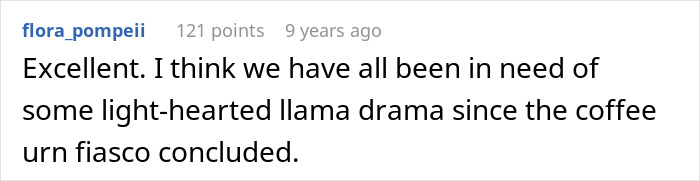 Comment about enjoying light-hearted llama drama since the coffee urn fiasco Comment about enjoying light-hearted llama drama since the coffee urn fiasco