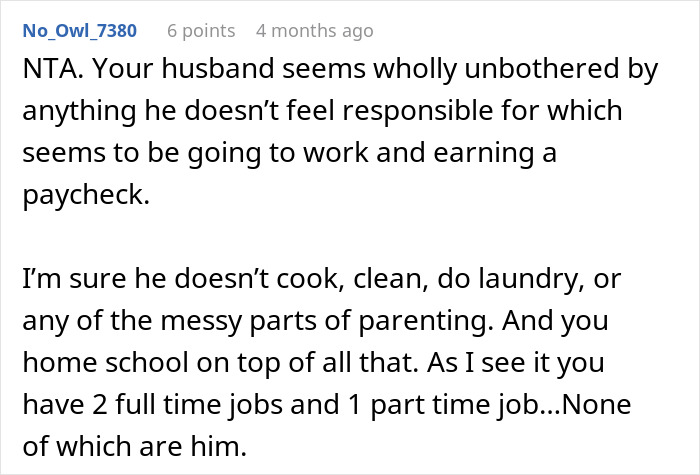 A Reddit comment arguing that a husband isn't interested in wife's job or responsibilities. The comment highlights a husband's disinterest in his wife's career.