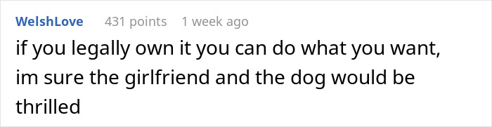 Comment on legal ownership of dog and freedom to decide dog's fate Comment on legal ownership of dog and freedom to decide dog's fate