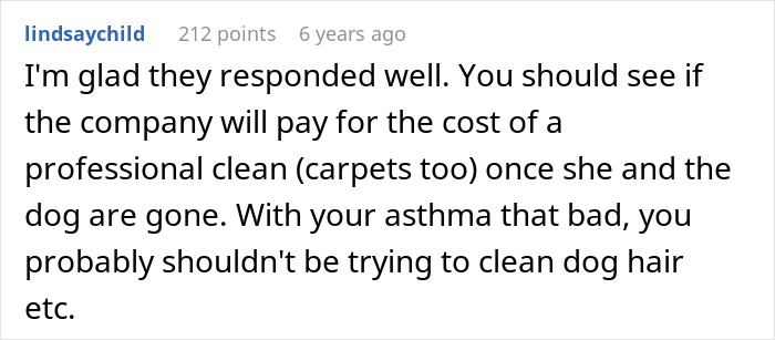 A screenshot of a Reddit comment suggesting professional cleaning after a roommate puts life at risk due to allergies.