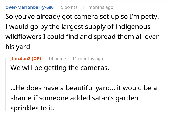 Conversation about setting up cameras and wildflowers in the yard